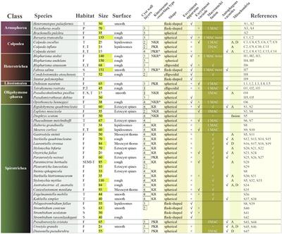 How Ciliated Protists Survive by Cysts: Some Key Points During Encystment and Excystment